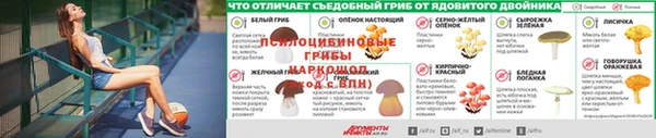 ALPHA PVP Магадан