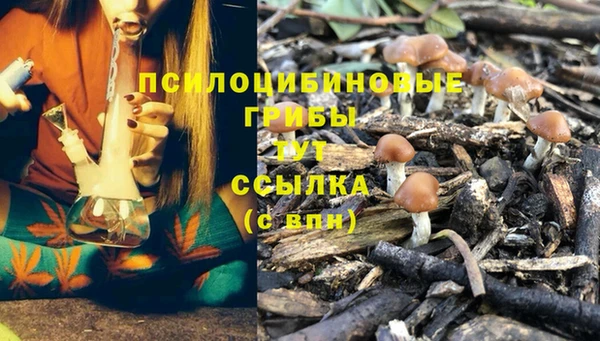 2c-b Медногорск