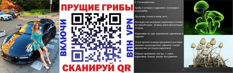 купить наркотики сайты  hydra зеркало  Галлюциногенные грибы Cubensis  маркетплейс наркотические препараты  Шацк 